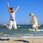 <strong>Strandurlaub mit Hund </strong>